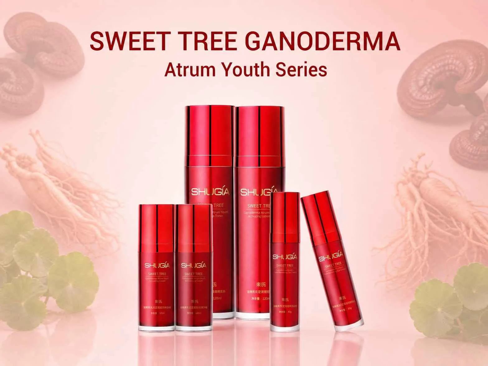 Black Ganoderma Anti-Wrinkle Series
